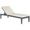 Acacia Aged Gray Outdoor Chaise Lounger with Cushion